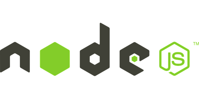 logo NodeJS environnement d'exécution Java-scrip
